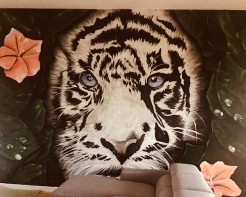 La Tecnica nella Murales Art